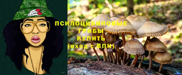 spice Абаза