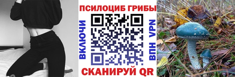 наркотики  Кириллов  МЕГА tor  Псилоцибиновые грибы MAGIC MUSHROOMS 
